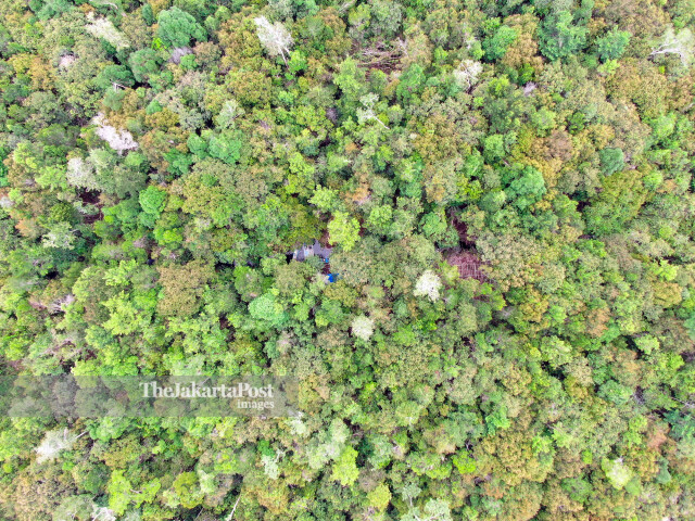 Social Forestry in Tampelas Village