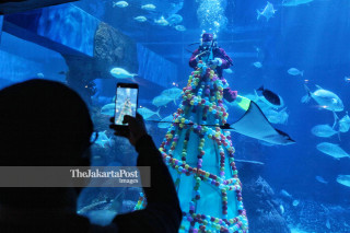 Jakarta Aquarium menyambut natal
