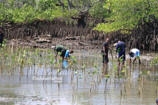 File: Hutan Mangrove