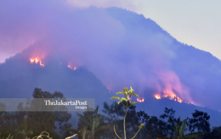 Kebakaran Hutan Gunung Panderman