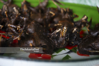 Extreme food; Fried bats