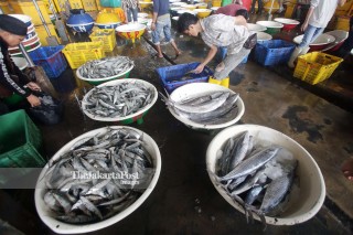 Bad Weather Fish Supply Low