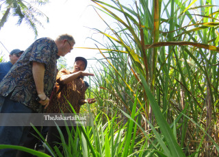 USAID visit sugar cane farmer