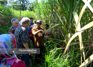 USAID visit sugar cane farmer