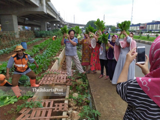 Jakarta-urban farming