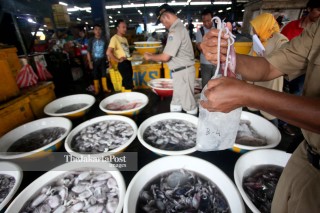 File: Inpeksi Mendadak di Pasar Ikan Muara Angke