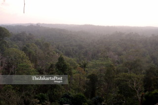 Soeharto hills