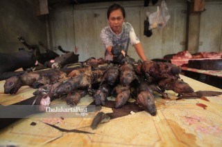 File: Penjual Daging Makanan Hewan Eksotis - Pasar Tomohon
