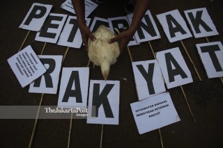 File:  chicken farmers demonstration