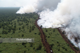 Kebakaran Hutan di Banyuasin Sumatera Selatan
