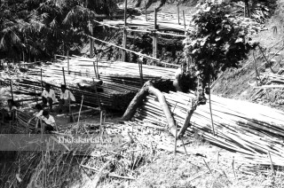 File: Penjual Bambu Tebet (1983)