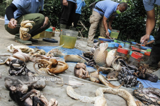 Pemusnahan Hewan yang di awetkan di Kebun Binatang Bandung