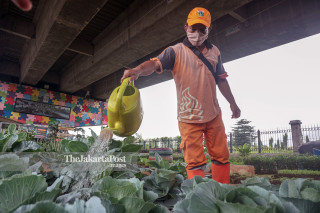 Vegetable center (Trasa Balong)