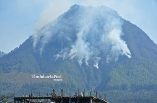 Panderman forest in fire