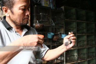 File: Pasar Burung Pramuka