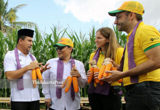 Bayer – West Nusa Tenggara Farmers First Harvest of Biotechnology Corn