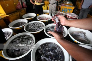 File: Inspeksi Mendadak di Pasar Muara Angke