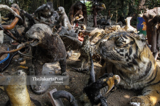 Pemusnahan Hewan yang di awetkan di Kebun Binatang Bandung